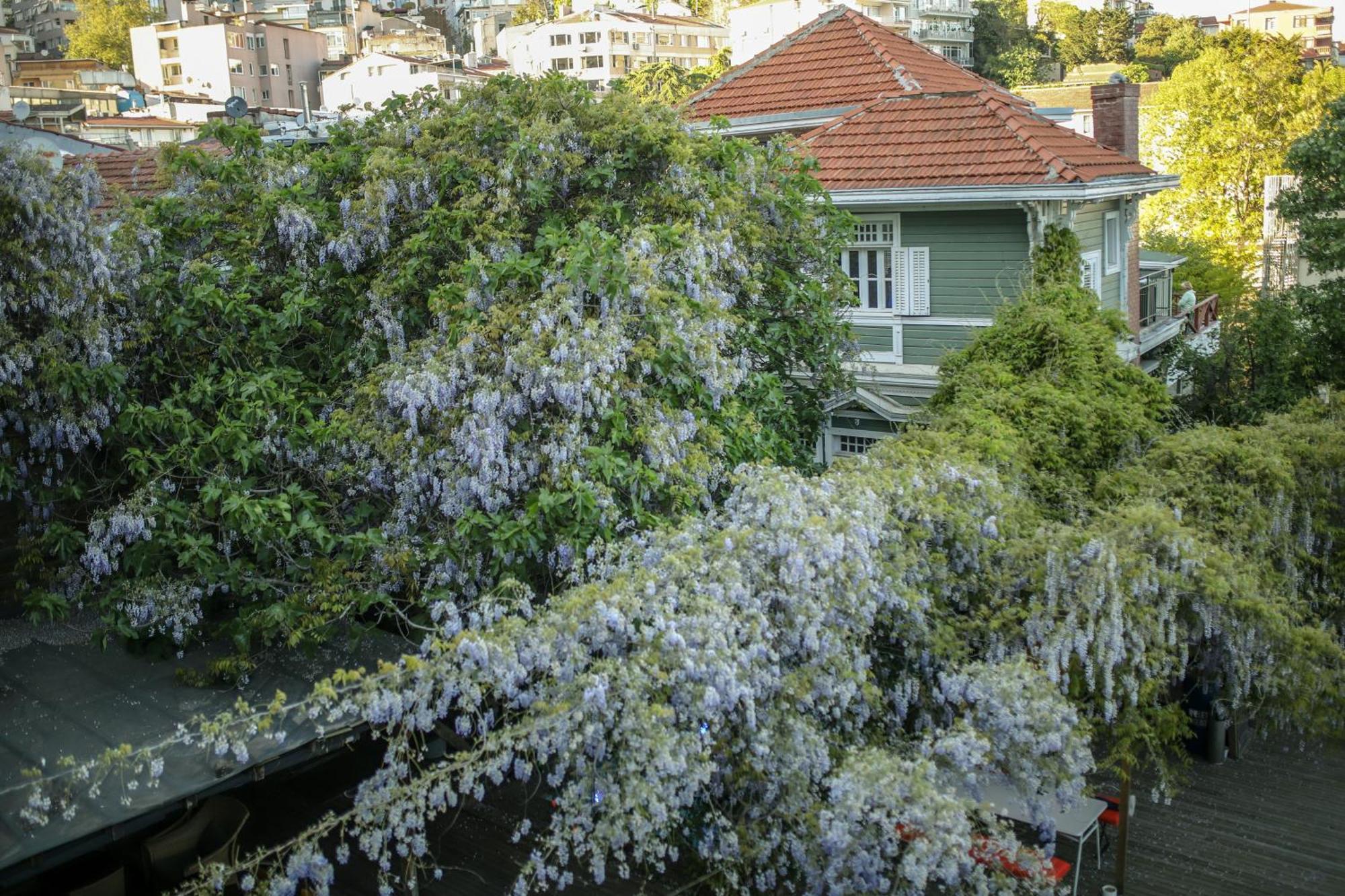 Loop Hotel Bosphorus Istanbul Exteriör bild